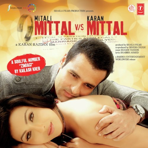 Mittal Vs Mittal (2010) (Hindi)